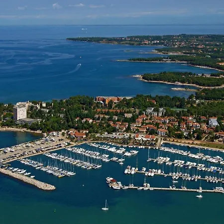 Franka 113 Bašanija