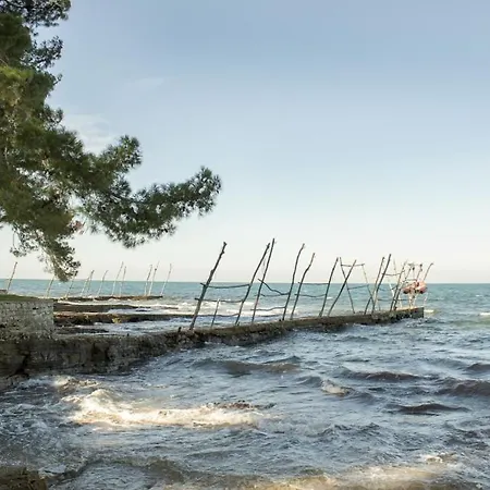 Apartment Franka 113 *