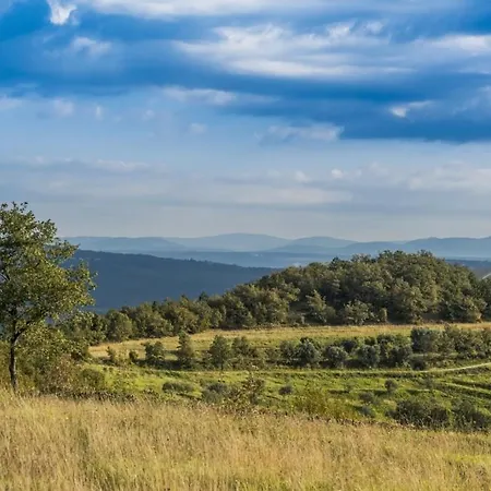 아파트 Franka 113 *