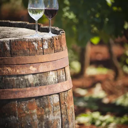 Apartment Franka 113