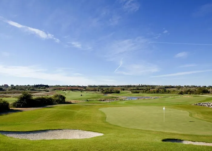 Franka 113 Апартаменты *