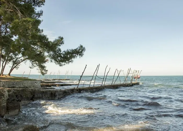 Apartmán Franka 113 *