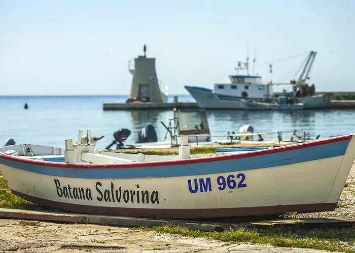 Franka 113 * Башания