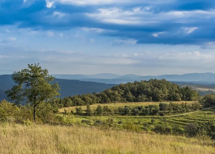 Апартаменты Franka 113 *