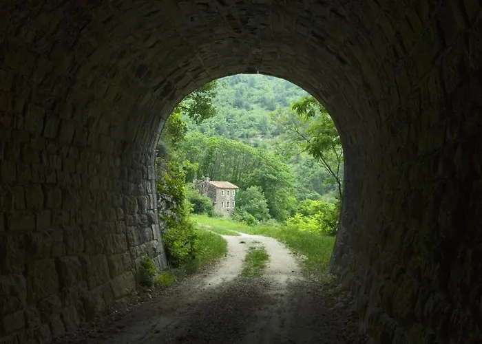 Franka 113 Апартаменты