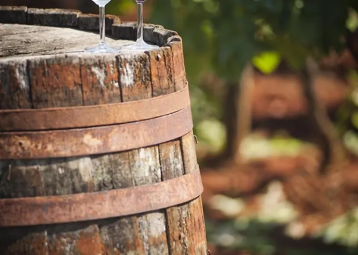 Апартаменты Franka 113